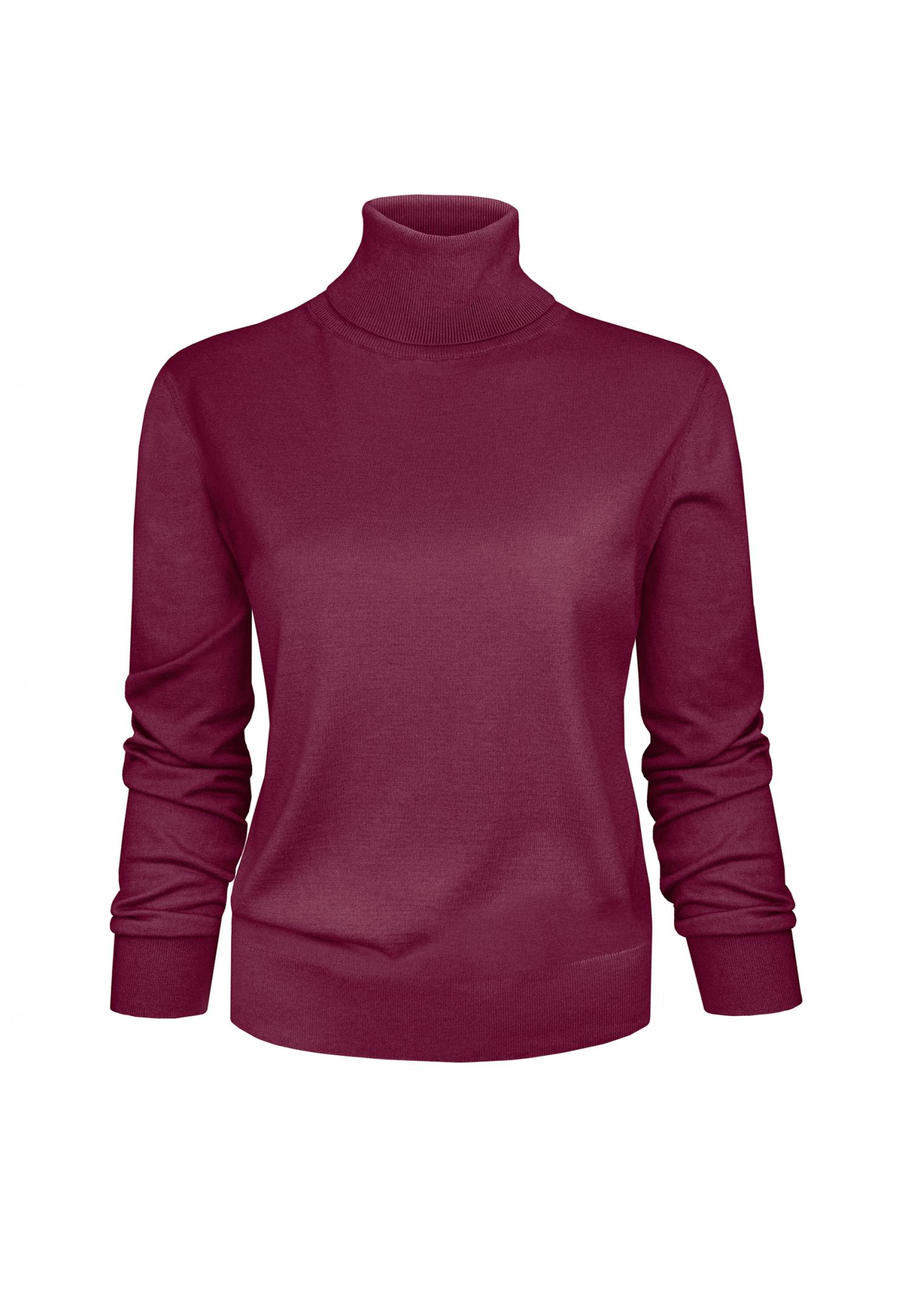 W22-00SC0218 Turtleneck
