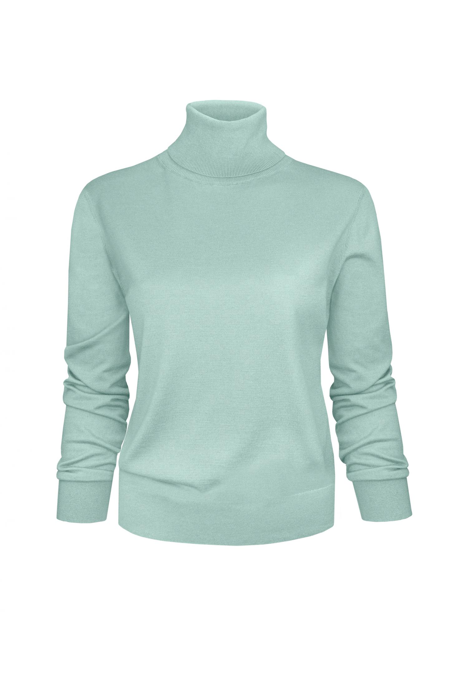 W22-00SC0318 Turtleneck